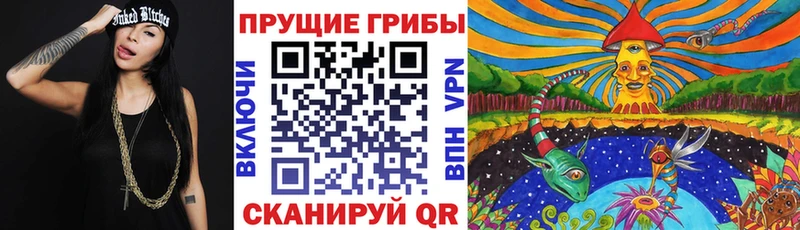 дарнет шоп  Вичуга  Галлюциногенные грибы Psilocybe 
